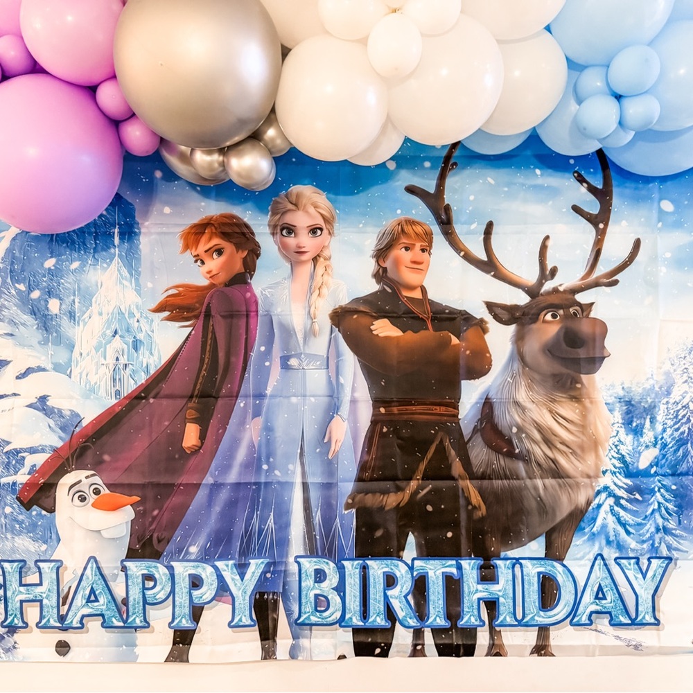 Frozen Themed Decor Birthday Bundle